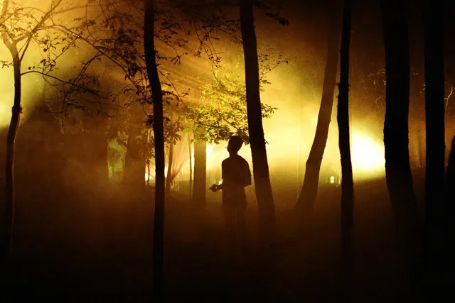 Draaimolen Festival — Forest Rave